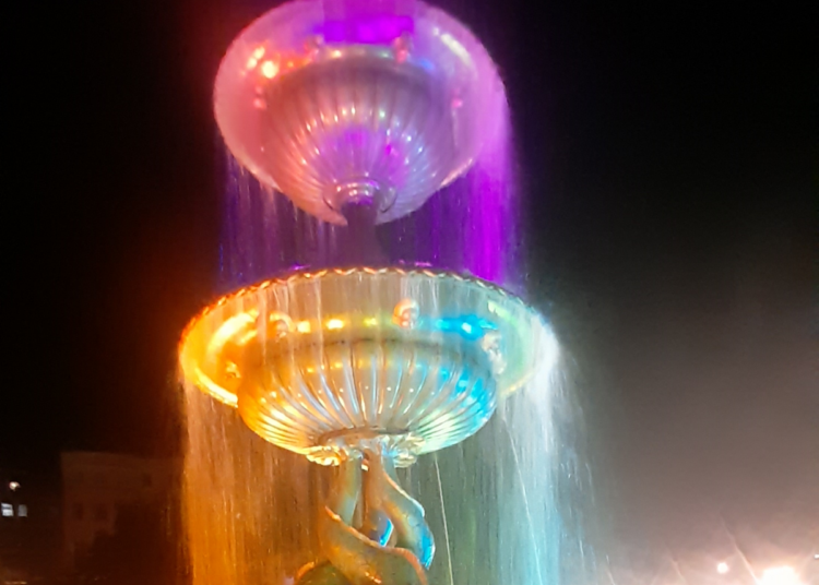 Fountain turned off to let seagulls escape
