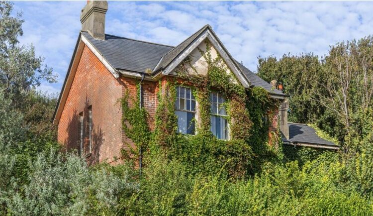 Slice of parklife goes on the market