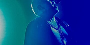 Ride soar with ‘Seagull’ in Brighton