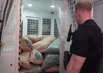 Burglary brings cannabis farm to light