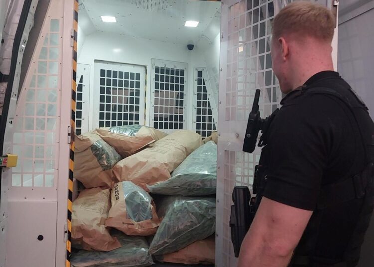 Burglary brings cannabis farm to light