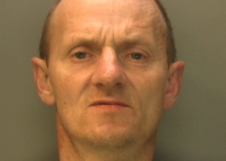 Serial bike thief jailed