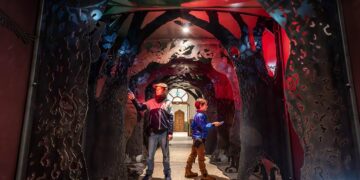 Walk-through forest springs up in Brighton Museum