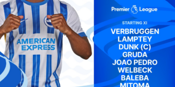 Premier League Match Day 23 – Brighton and Hove Albion v Everton