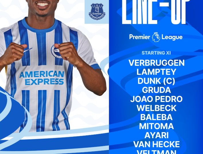 Premier League Match Day 23 – Brighton and Hove Albion v Everton
