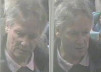 Police hunt man suspected of sex attack on train