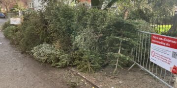 Don’t leave your Christmas trees here, council pleads