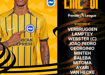 Premier League Match Day 26 – Southampton v Brighton and Hove Albion