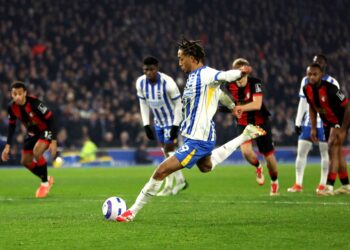Brighton and Hove Albion give it some Welly to beat Bournemouth