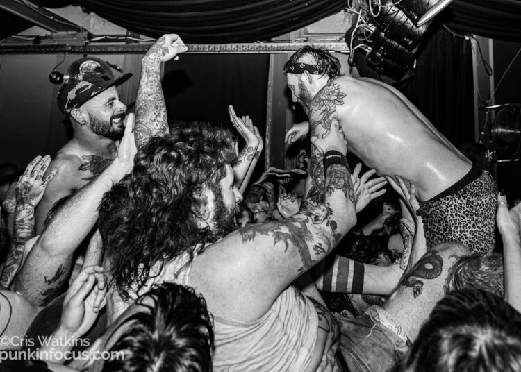 Rotten Foxes are back! But only for one gig!