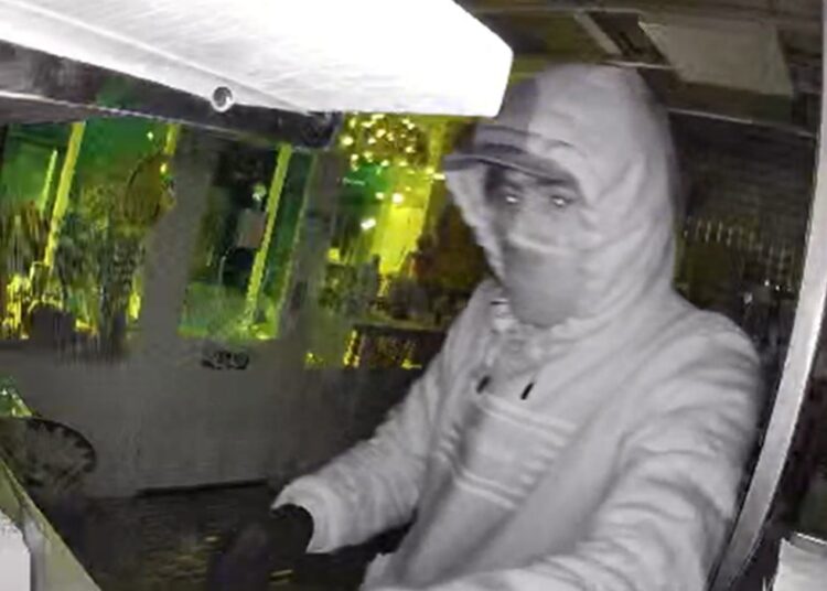 Jewel shop raider filmed stealing high-value haul