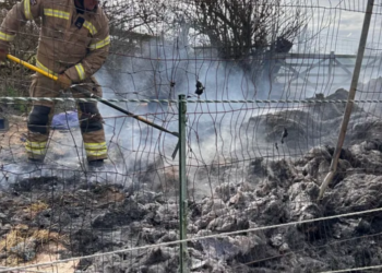 Youngsters set hay alight and wipe out entire winter’s supply
