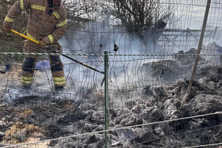 Youngsters set hay alight and wipe out entire winter’s supply