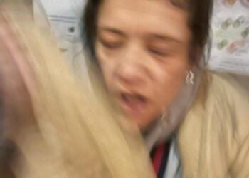 Appeal to find wheelie bin window vandal