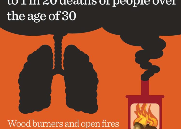 Advertising watchdog issues ‘advice notice’ after council labels wood burners ‘cosy killers’