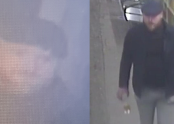 Detectives hunt suspected sex attacker