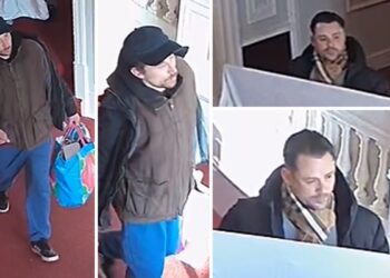 Burglars target seafront property