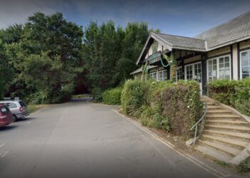 Elm disease claims more trees