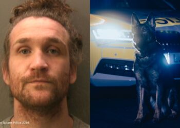 Man jailed for kicking police dog in the head