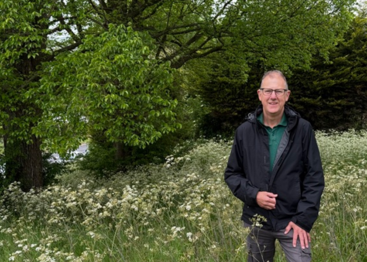 Mowing moans after verges given a ‘bowling green’ crop