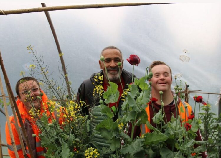 Forest Garden holds open day to mark 31 years
