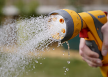 Water company brings in hosepipe ban after dry spring and heatwaves