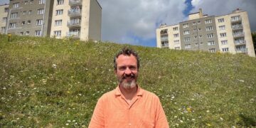 Five new Brighton wildflower verges created
