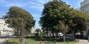Farewell the Floral Clock as council plans Palmeira Square revamp