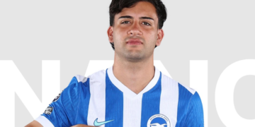 Brighton and Hove Albion midfielder joins Chelsea on loan