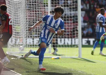 Brighton and Hove Albion beaten at Bournemouth