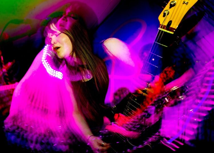 Look out! Gnarwal Fest debuting next month in Brighton