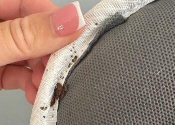 Residents plagued by council block bed bugs complain of two-tier help