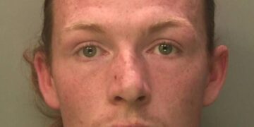 Dog behind string of city centre attacks to be destroyed
