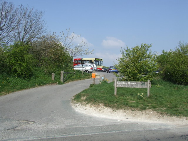 Students blew up sheep with fireworks, court hears