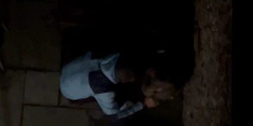 Man facing prison for ‘frenzied attack’ on pet dog