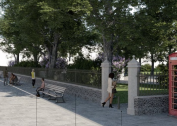 Planners try to see the wood from the trees in the Royal Pavilion Gardens