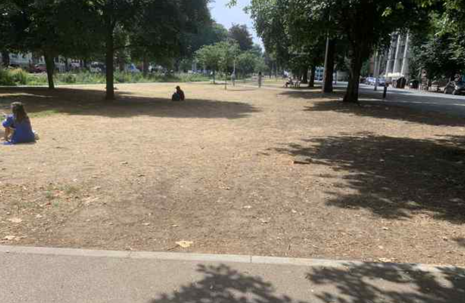 Poor state of green spaces to be put right, says councillor