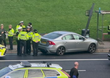 Man dies in bus stop crash on A23 in Brighton