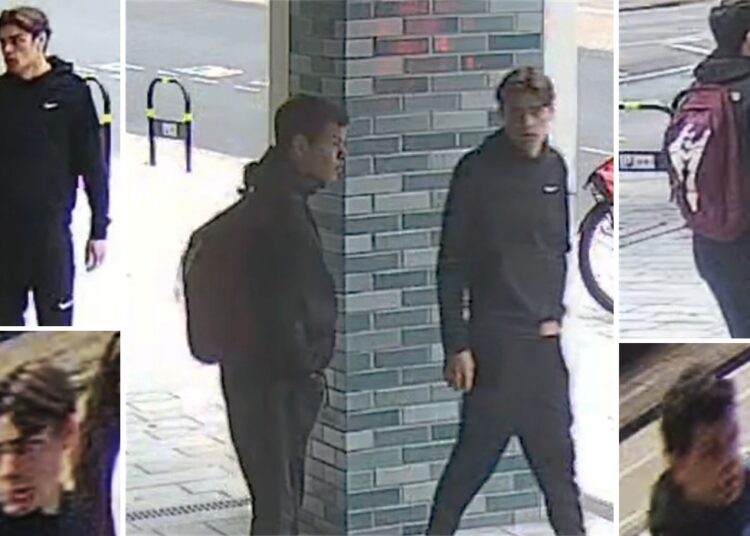 Police hunt suspected electric bike thieves