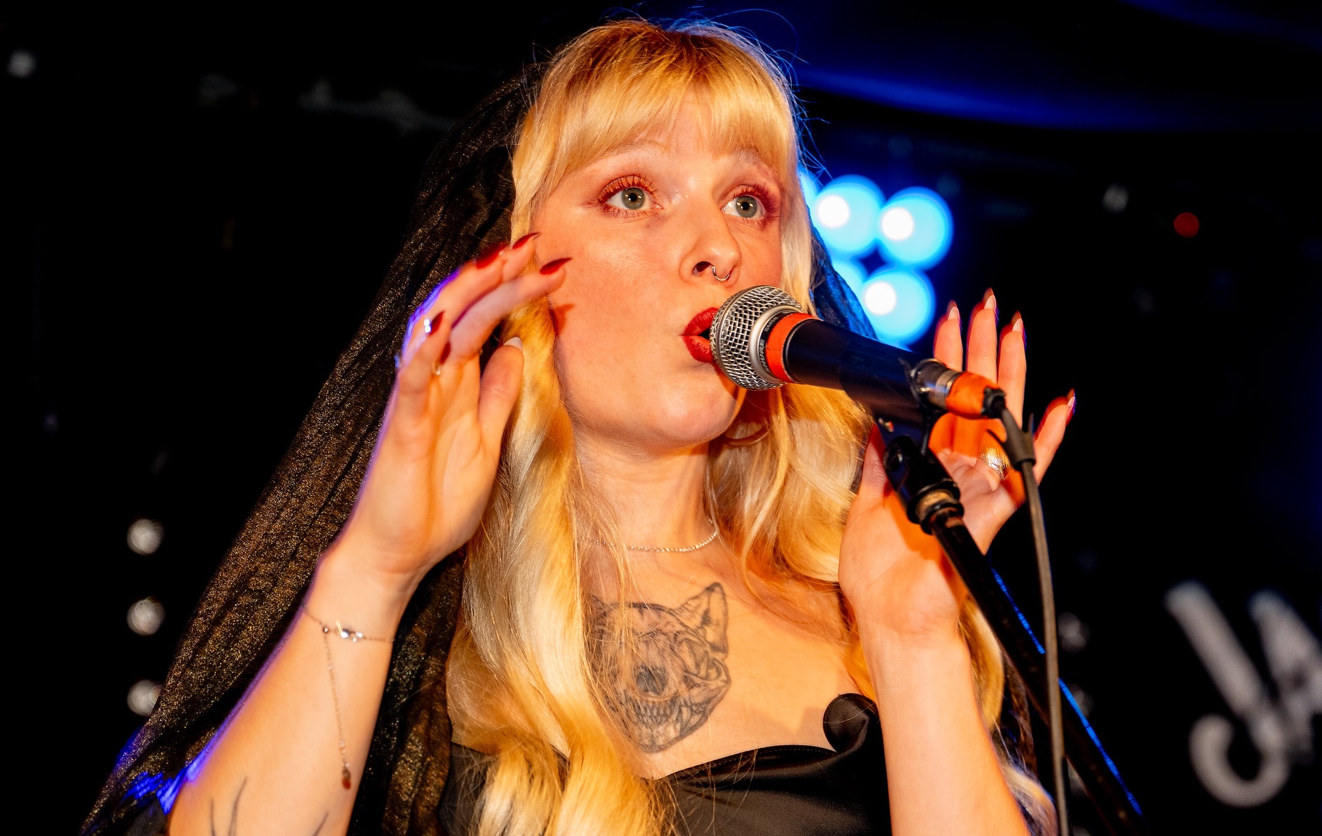 Winter Gardens and chums absolutely nail it!