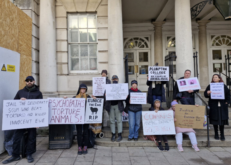 Protesters demand justice after students blew up sheep with fireworks