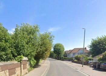 Road crossing location should prioritise children, says councillor