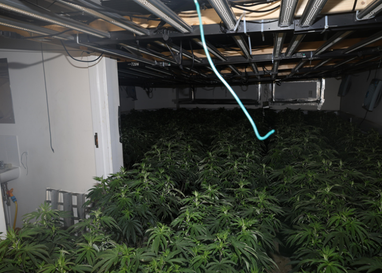 Two men charged after cannabis farms found in Portslade