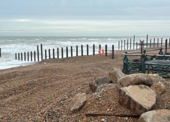 New groyne field takes shape