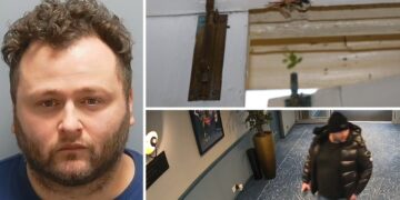 Burglar jailed for two Brighton break-ins