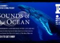 Sounds of the Ocean at The Old Market this May