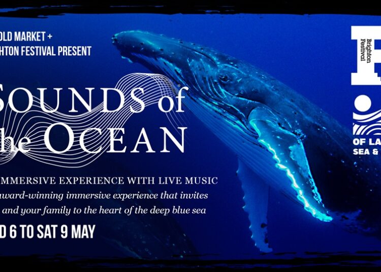 Sounds of the Ocean at The Old Market this May