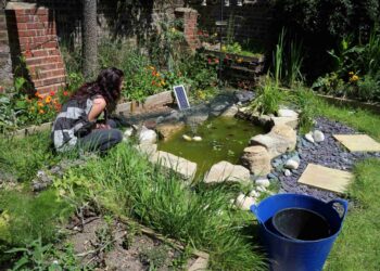 Hove care home run by BHT Sussex rated outstanding for second time