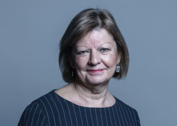 Hove peer appointed to top business advice job