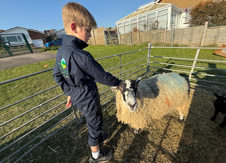 School children flock to feed and care for lambs School children flock to feed and care for lambs